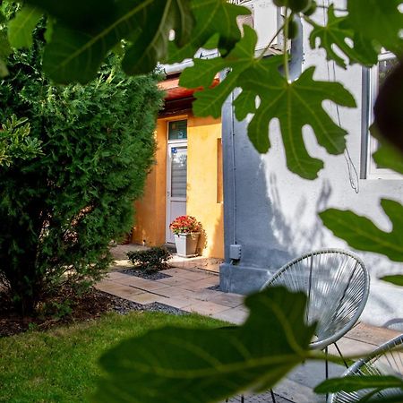 Dulcineea Downtown Garden Studio Timisoara Bagian luar foto