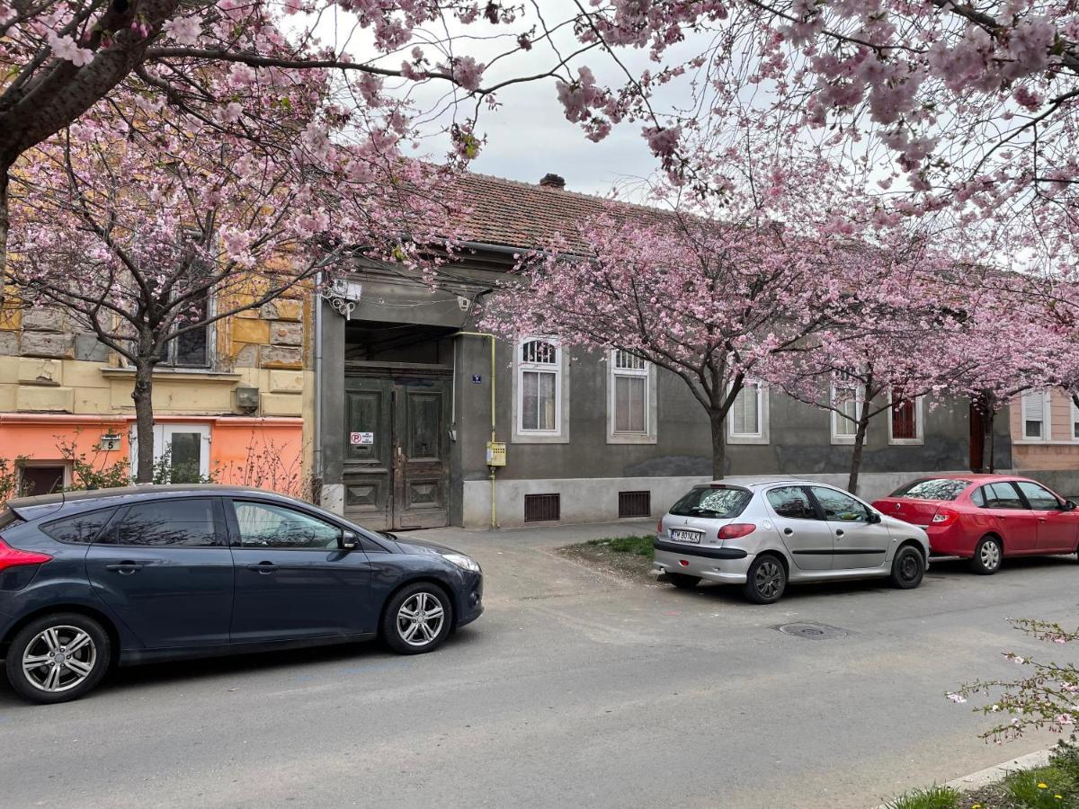 Dulcineea Downtown Garden Studio Timisoara Bagian luar foto