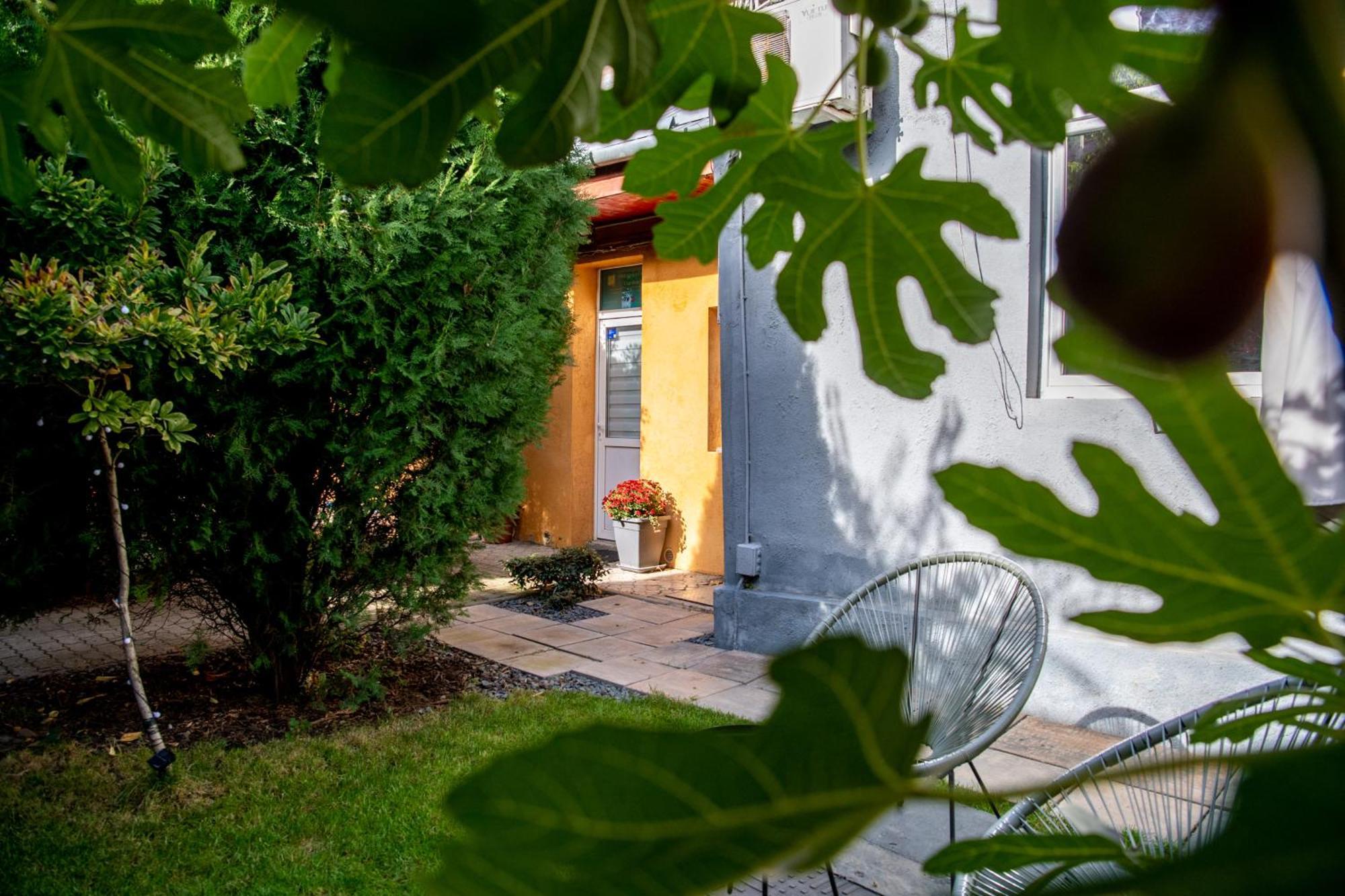 Dulcineea Downtown Garden Studio Timisoara Bagian luar foto